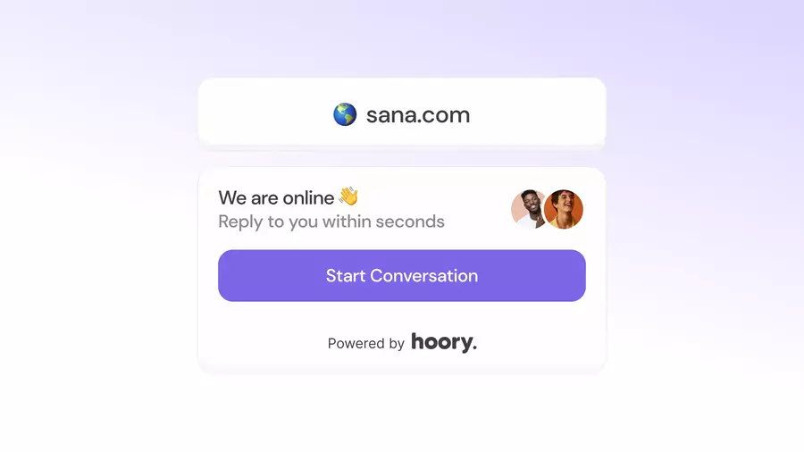 Website Widget